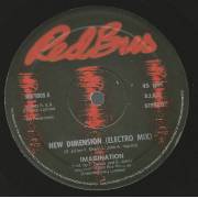 IMAGINATION - NEW DIMENSION ( ELECTRO MIX ) / BURNING UP ( DUB )