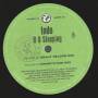 INDO  - R U SLEEPING ( GRANT NELSON MIX - GRANT'S DUB MIX )