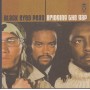 BLACK EYED PEAS - BRIDGING THE GAP