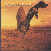 BLACK MARKET FLOWERS - BIND