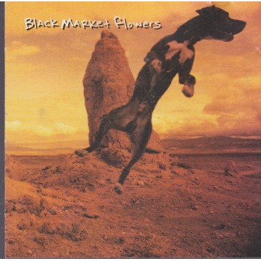 BLACK MARKET FLOWERS - BIND