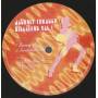 JOURNEY THROUGH DISCOLAND - VOL 1 ( BURNING UP - IRRESISTBLE U - LET ME HEAR YA … - YES I DO ! )