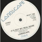 LANDSCAPE - IT'S NOT MY REAL NAME / A CASE OF MISTAKEN IDENTITY