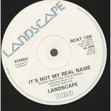 LANDSCAPE - IT'S NOT MY REAL NAME / A CASE OF MISTAKEN IDENTITY