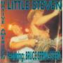 LITTLE STEVEN feat BRUCE SPRINGSTEEN - NATIVE AMERICAN
