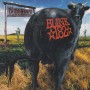 BLINK 182 - DUDE RANCH