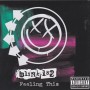 BLINK 182 - FEELING THIS +1