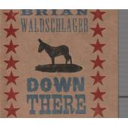 WALDSCHLAGER BRIAN - DOWN HERE