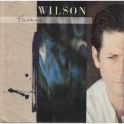 WILSON BRIAN - BRIAN WILSON