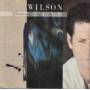 WILSON BRIAN - BRIAN WILSON