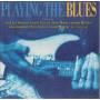 V.V.A.A - PLAYNG THE BLUES