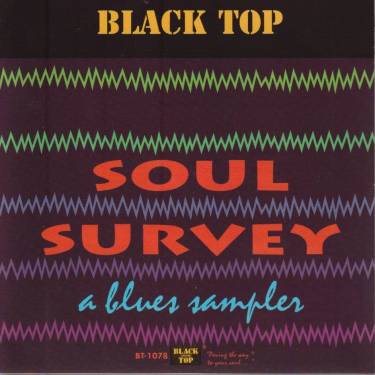 V.V.A.A. - SOUL SURVEY A BLUES SAMPLER