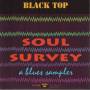 V.V.A.A. - SOUL SURVEY A BLUES SAMPLER