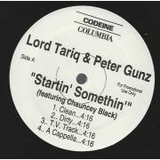 LORD TARIQ & PETER GUNZ  - PROMO - STARTIN SOMETHIN FEAT CHAUNCEY BLACK / CROSS BRONX EXPRESSWAY FEAT FAT JOE & BIG PUNISHER