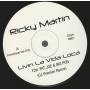 MARTIN RICKY - PROMO - LIVIN LA VIDA LOCA feat FAT JOE & BIG PUN ( DJ PREMIER RMX - BUSHWACKASS RMX )