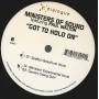 MINISTERS OF SOUND feat PAUL WALTON - GOT TO HOLD ON ( SPERON BASS FUNK VOCAL - MINISTERS EXPERIMENTAL - GARCIA'S SWING DUB )