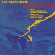BROOKMEYER BOB - ELECTRICITY
