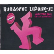 BUCKSHOT LEFONQUE - ANOTHER DAY (IN THE HOOD EDIT)