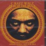 C-RAYZ WALZ - YEAR OF THE BEST