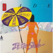 DADE ( MARK EGANJEFF LAIBSON DANNY GOTTLIEB PETE LEVIN DAVID TAYLOR DAVIS WEISSBROT ) - IN THE SHADE