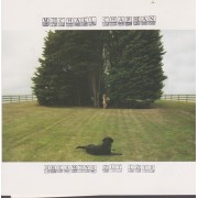 CHAPMAN MICHAEL - DREAMING OUT LOUD