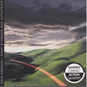CERINO SANDRO ACTION QUARTET - DOVE PORTANO I CAMPI DI FIANCO ALLE AUTOSTRADE