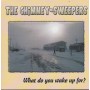 CHIMNEY - SWEEPERS THE - WHAT DO YOU WAKE UP FOR?