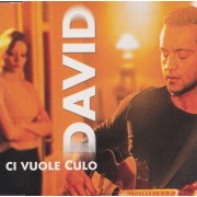 DAVID - CI VUOLE CULO +2