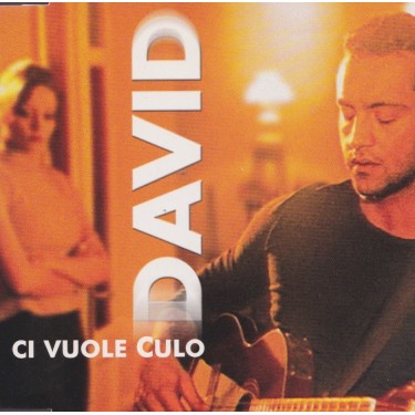 DAVID - CI VUOLE CULO +2