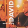 DAVID - CI VUOLE CULO +2