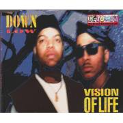 DOWN LOW - VISION OF LIFE 5 VERSIONS