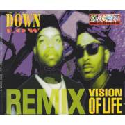 DOWN LOW - VISION OF LIFE REMIX 4  VERSIONS