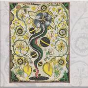 EARLE STEVE - I FEEL ALRIGHT