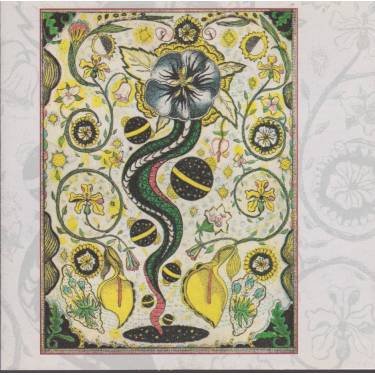 EARLE STEVE - I FEEL ALRIGHT