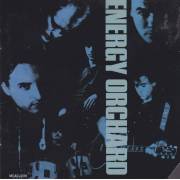 ENERGY ORCHARD - ENERGY ORCHARD