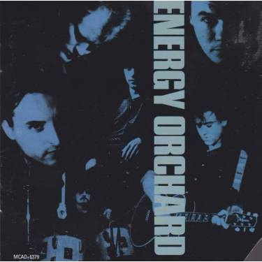 ENERGY ORCHARD - ENERGY ORCHARD