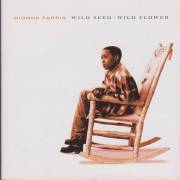 FARRIS DIONNE - WILD SEED WILD FLOWER