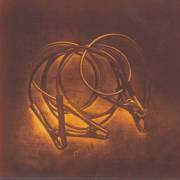 FILA BRAZILLIA - JUMP LEADS