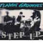 FLAMIN’ GROOVIES - STEP UP
