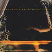 FLOWER - HOLOGRAM SKY