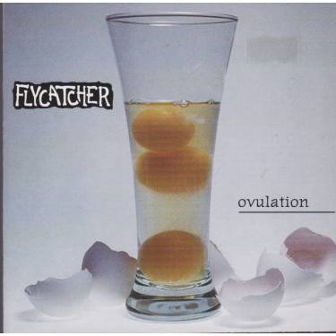 FLYCATCHER - OVULATION