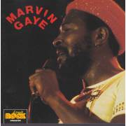 GAYE MARVIN - MARVIN GAYE