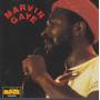 GAYE MARVIN - MARVIN GAYE