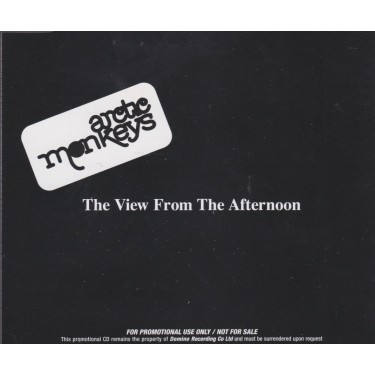 ARCTIC MONKEYS - THE VIEW FROM THE AFTERNOON