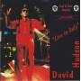HUDSON DAVID - LIVE IN  ITALY
