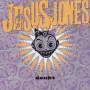 JESUS JONES - DOUBT