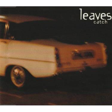 LEAVES  - CATCH + 2